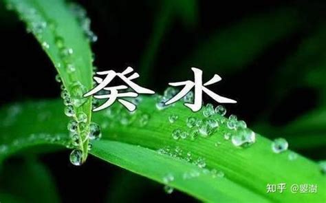 八字 葵水|八字十天干癸水 – 癸水的特征含义万物类象